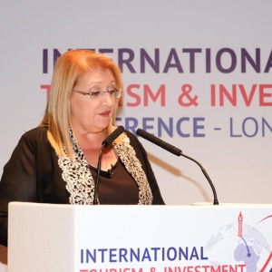 ITIC-conference-launch-London-Nov-18-2188